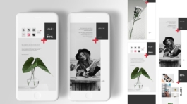 84316050-0af0-49db-a53a-241d47ddad0e