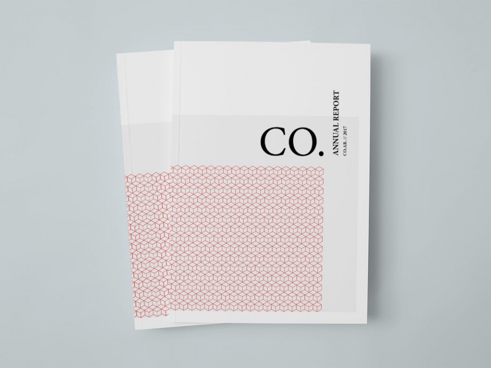 CO.-Annual-Report-1