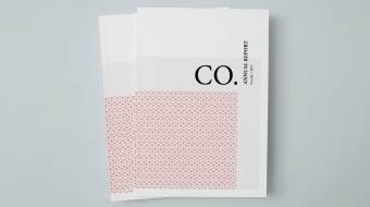 CO.-Annual-Report-1
